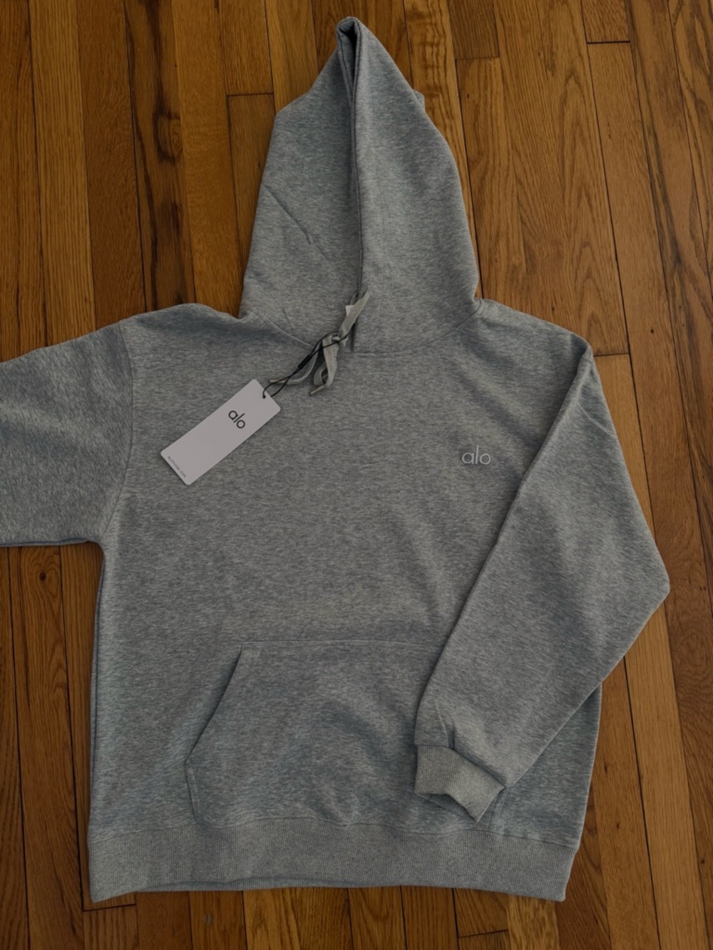 ALO Yoga Men's Light Gray Hooded Sweatshirt